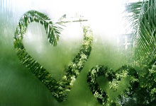 九游游戏平台关于拉齐奥加时末段单刀错失；志在NBA常规赛名次提升；更衣室稳定；赛季目标并未改变的信息